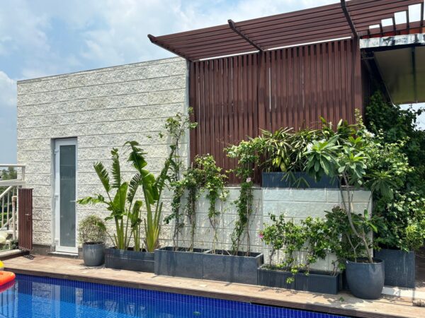 Limestone For Wall Cladding - Image 4